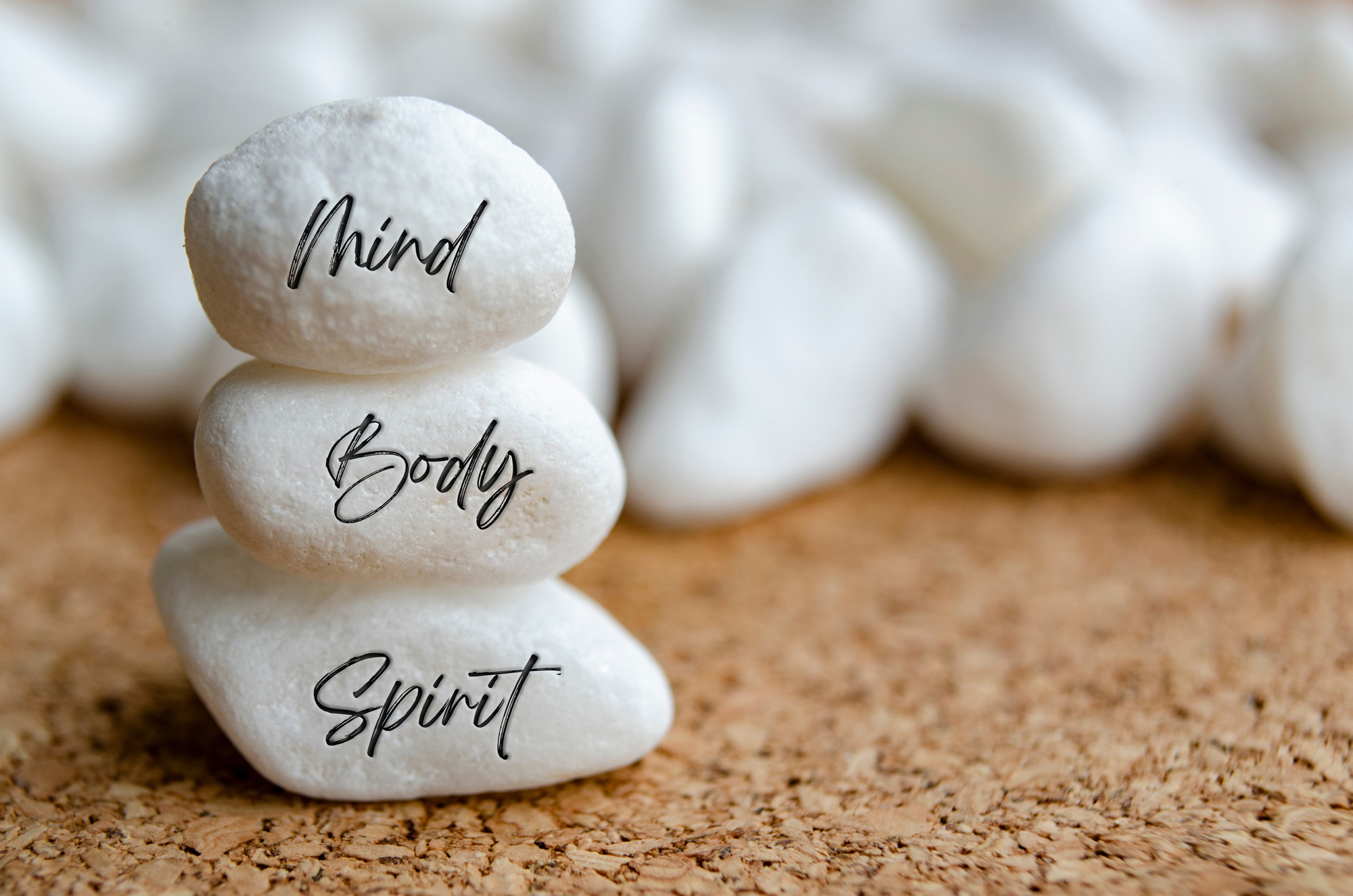 mind-body-enviornment-psychiatry-michigan